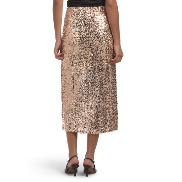 HAVER + BLAIR Champagne Milano Sequin Skirt - Picture 2 of 2